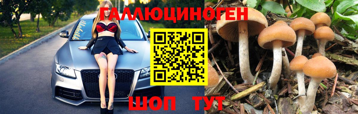НБОМе Армавир