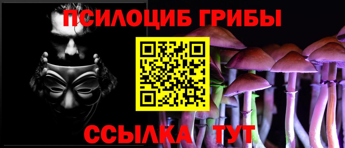 Армавир  Псилоцибиновые грибы GOLDEN TEACHER  Вход с VPN  Галлюциногенные грибы MAGIC MUSHROOMS 
